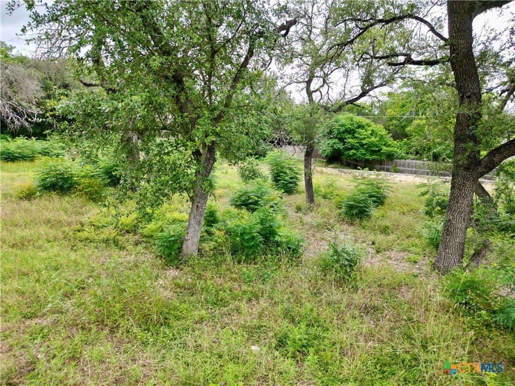 0.3 acres in Bell County gallery image 4