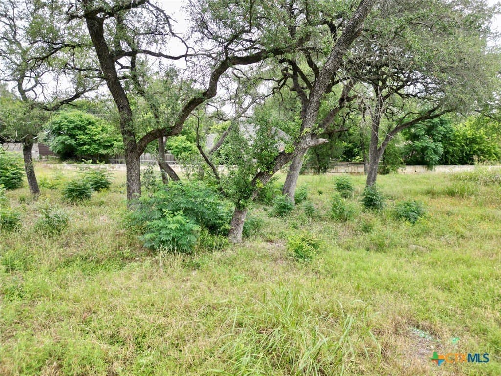 0.3 acres in Bell County gallery image 3