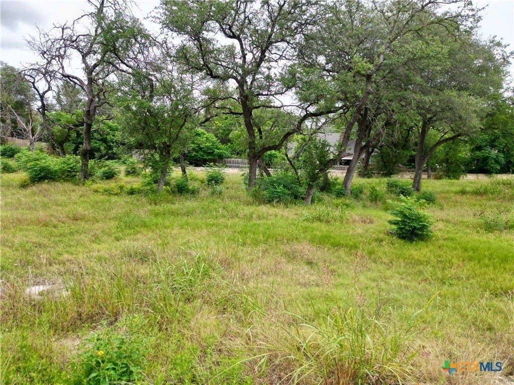 0.3 acres in Bell County gallery image 2
