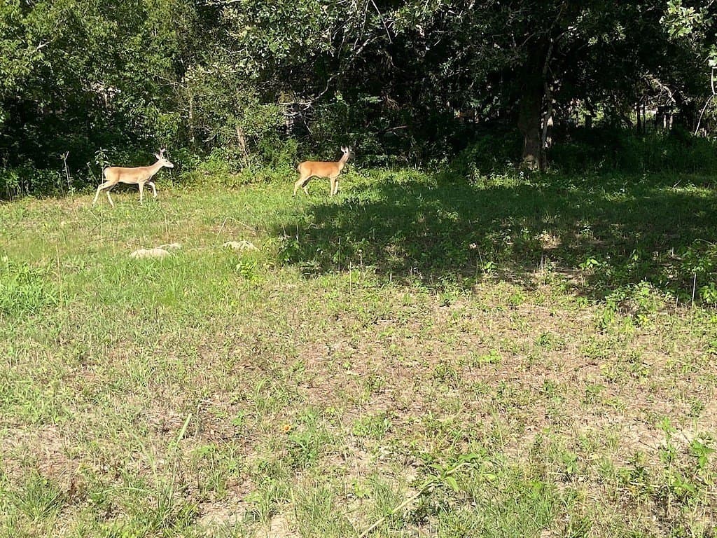 1.69 acres in Burleson County