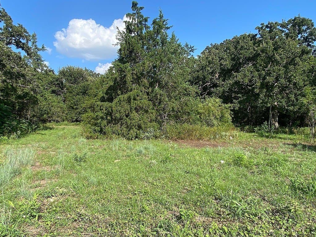 1.69 acres in Burleson County gallery image 4