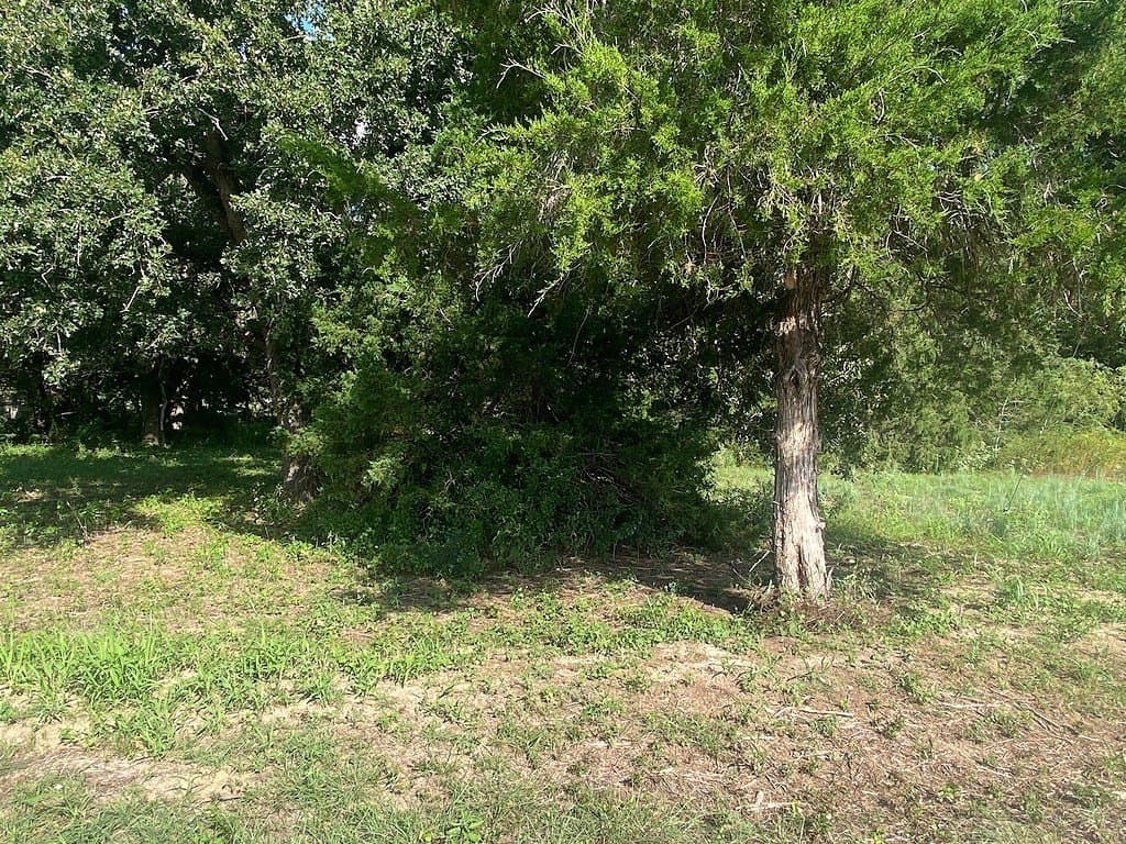 1.69 acres in Burleson County featured view