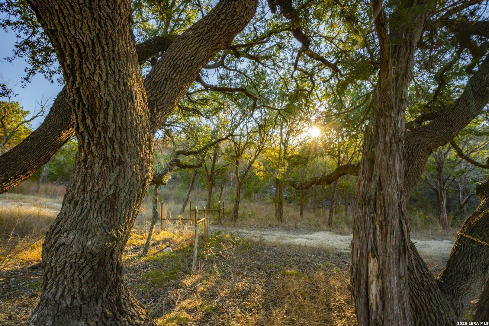 23.8 acres in Kerr County - photo 9