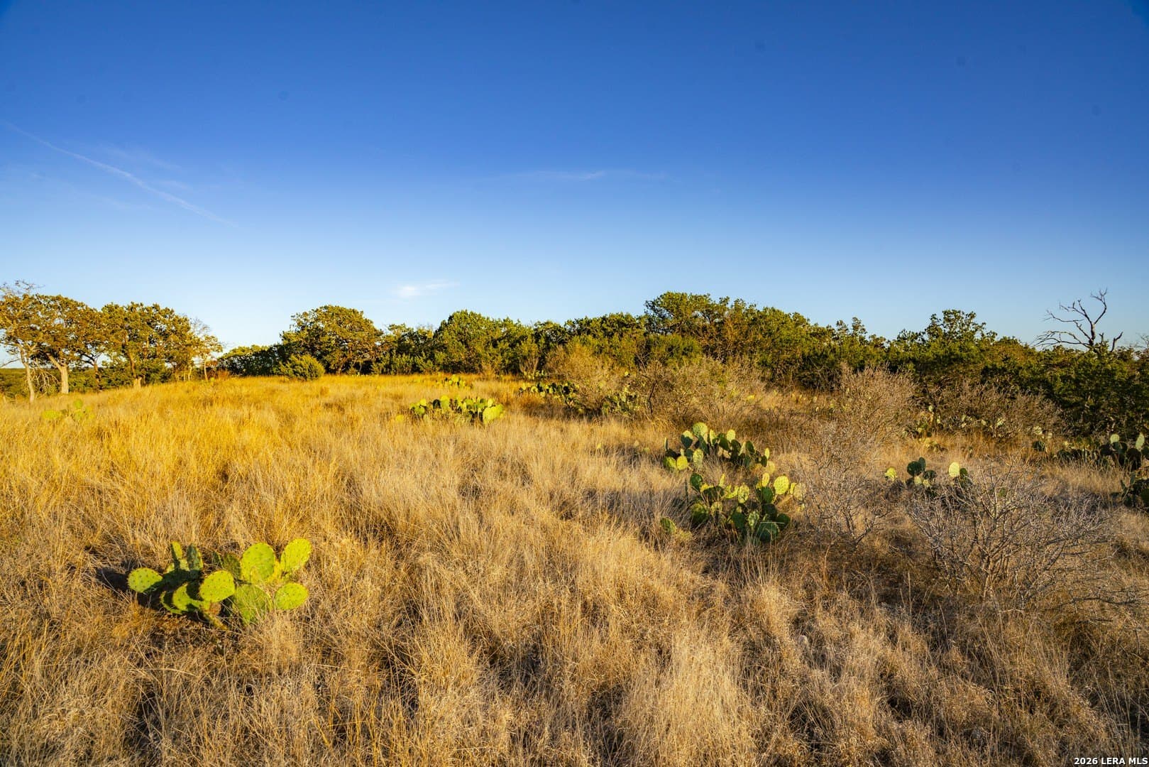23.8 acres in Kerr County - photo 21