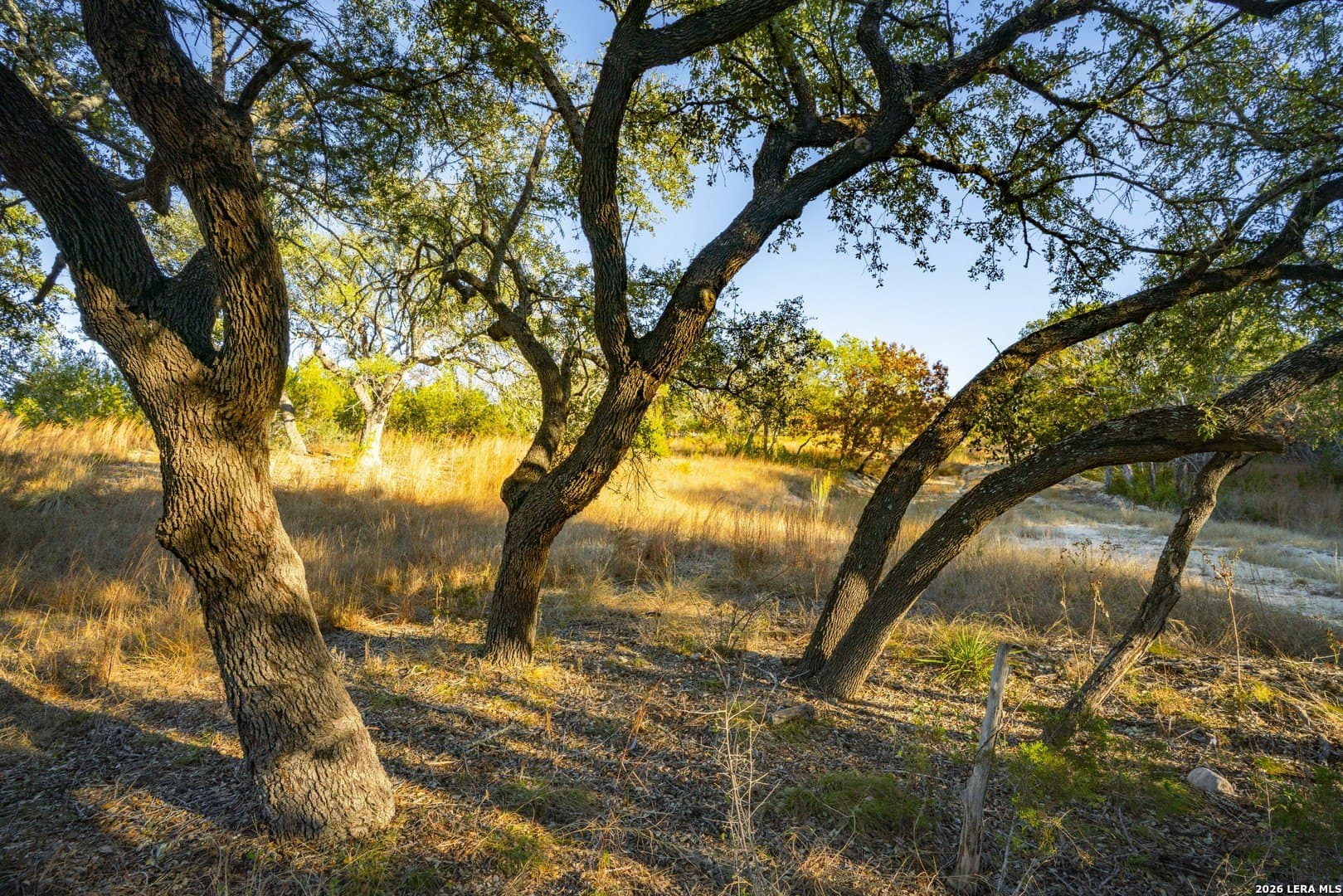 23.8 acres in Kerr County - photo 16