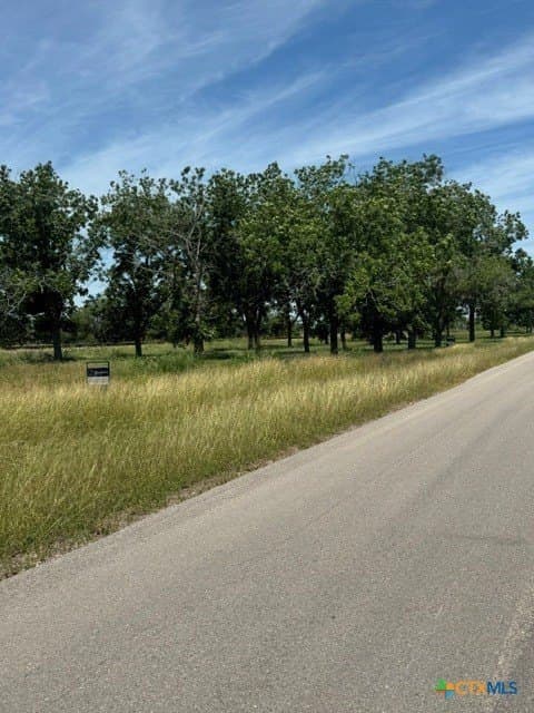 2.89 acres in DeWitt County gallery image 2