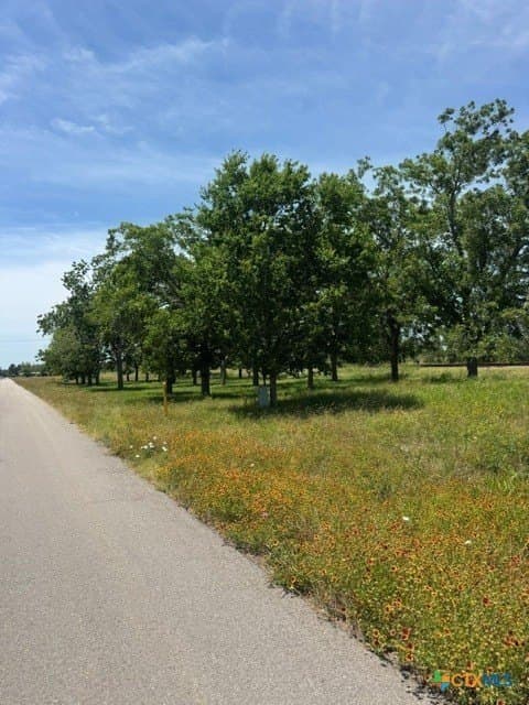 2.89 acres in DeWitt County gallery image 4