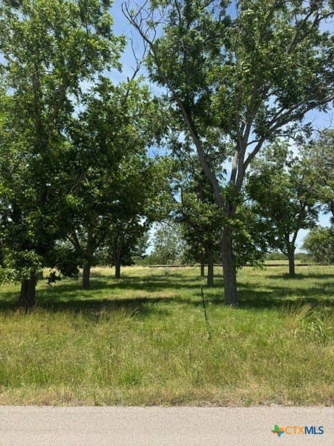 2.89 acres in DeWitt County gallery image 3