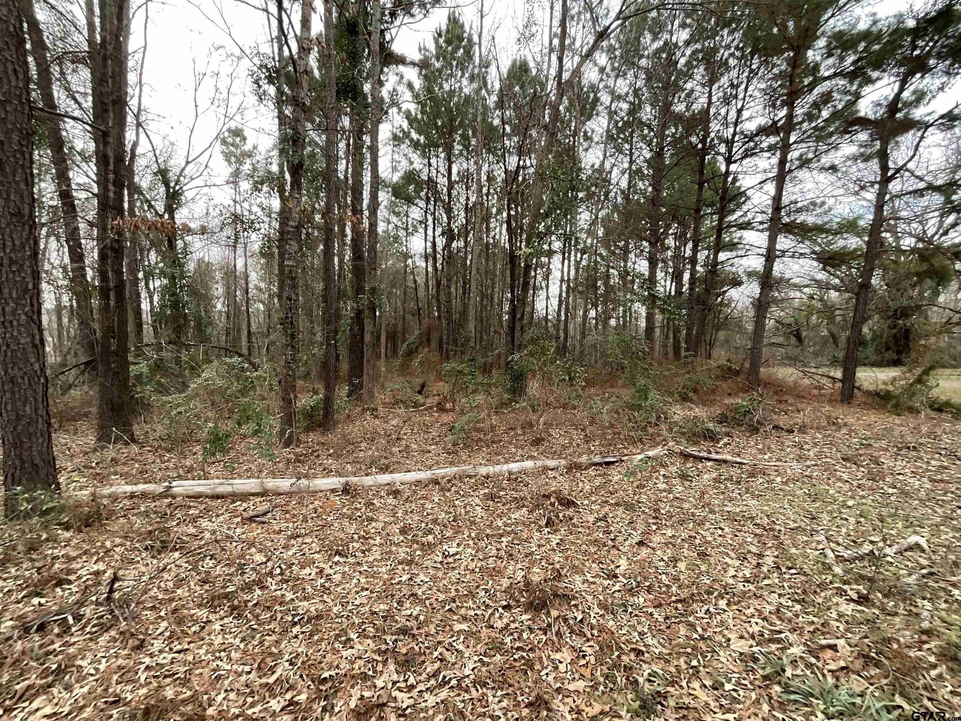 6.8 acres in Smith County - photo 7