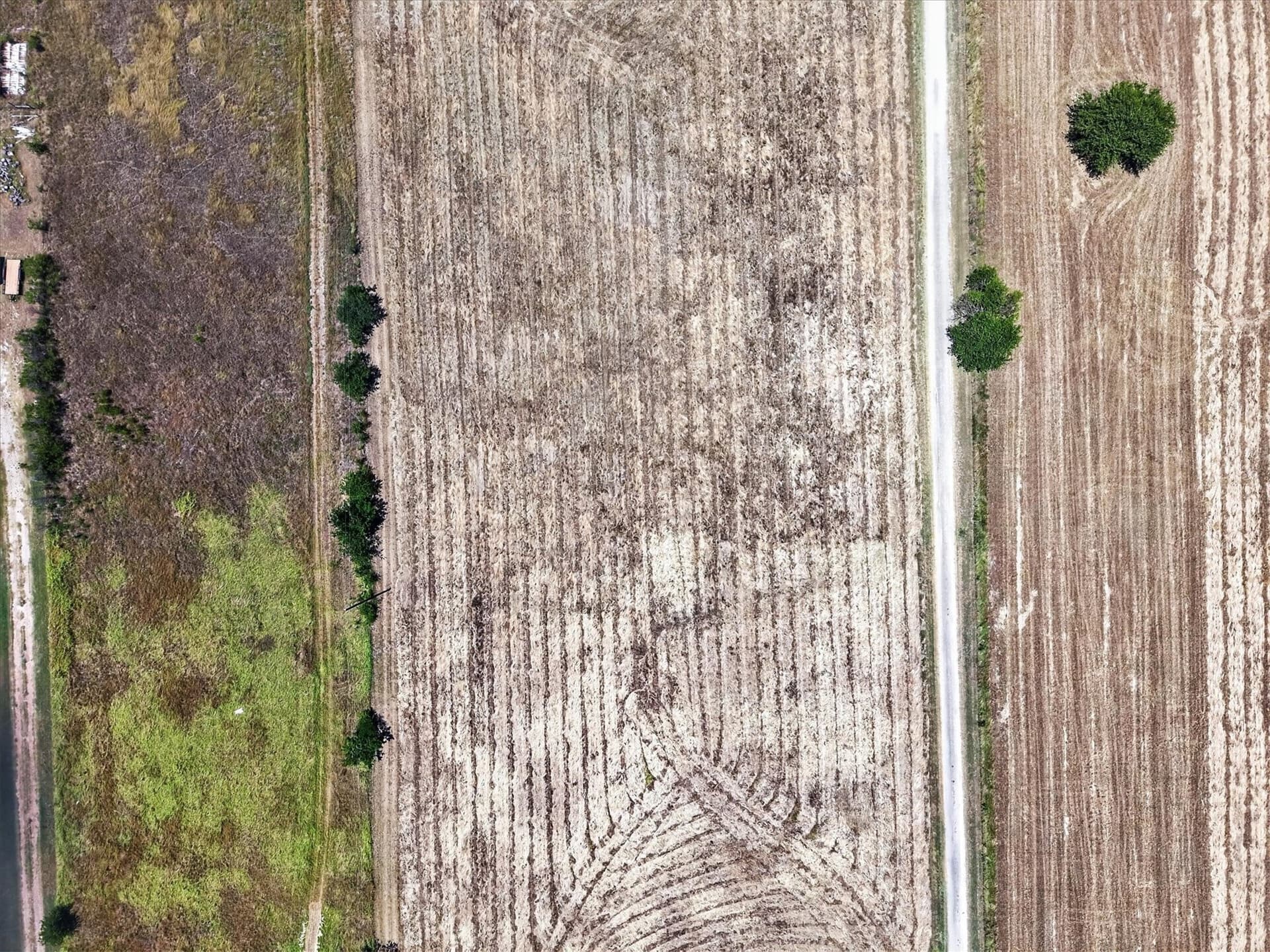1 acres in Ellis County featured view