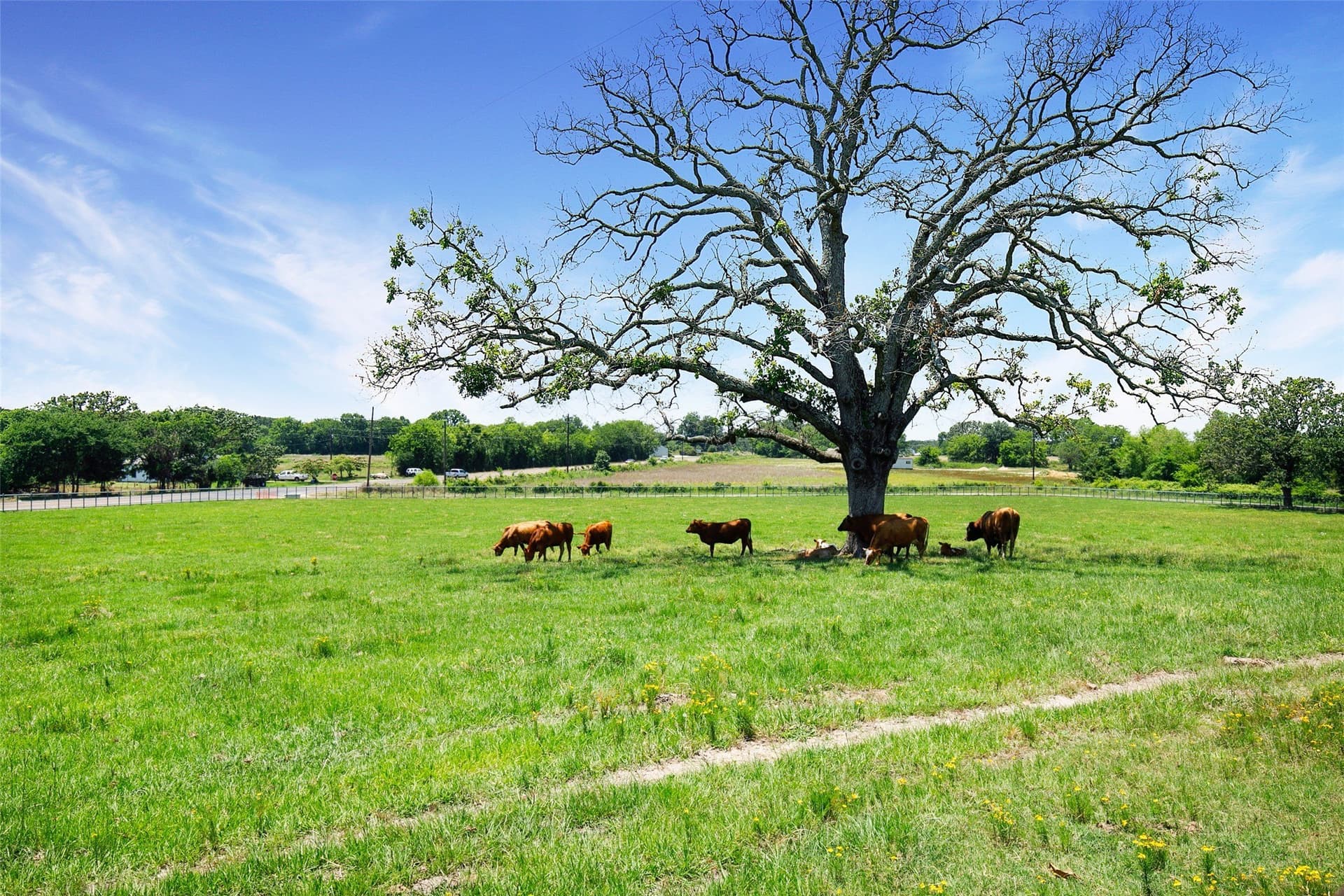 16.49 acres in Wood County - photo 28
