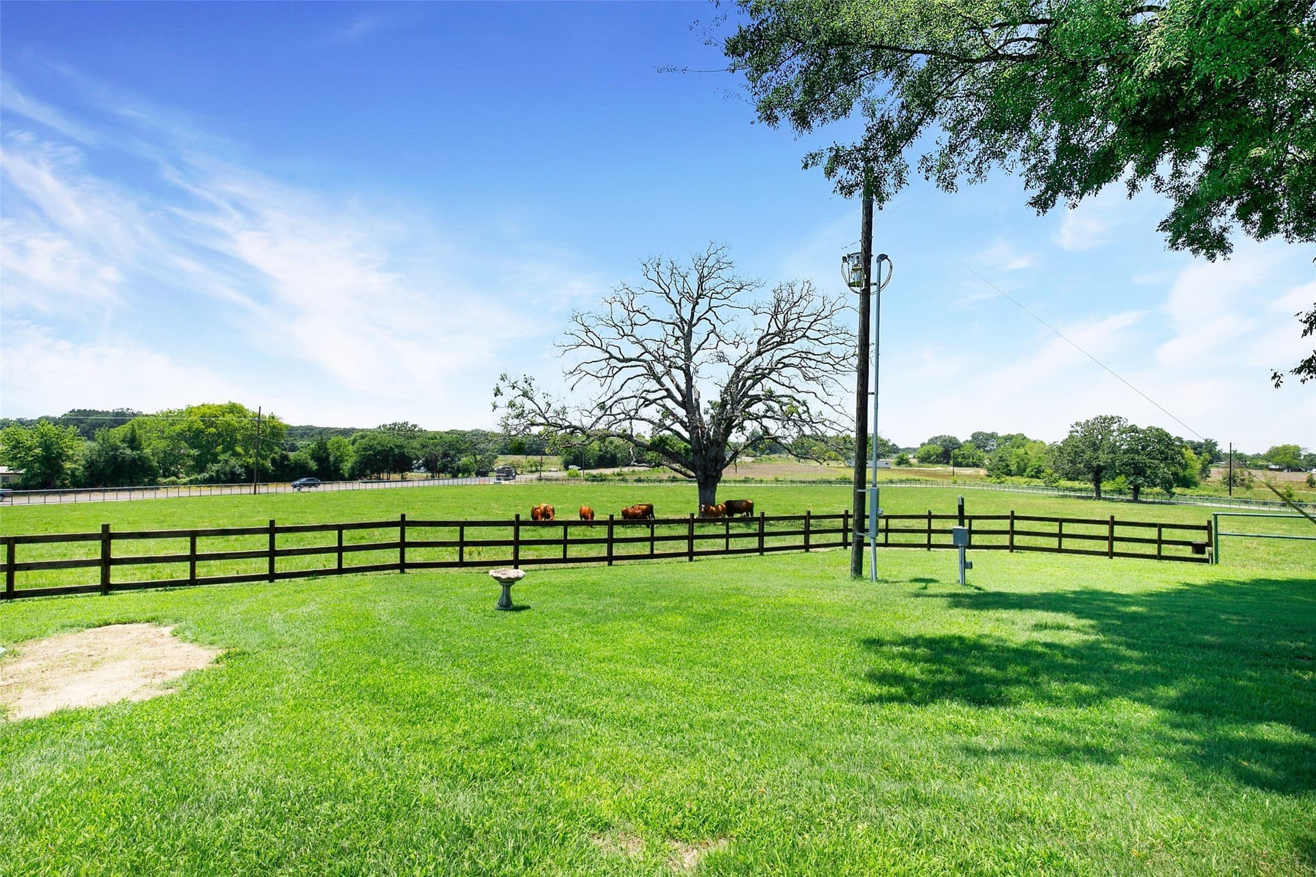 16.49 acres in Wood County - photo 27
