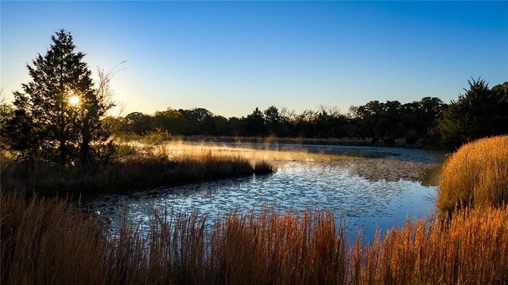 232 acres in Cooke County gallery image 3