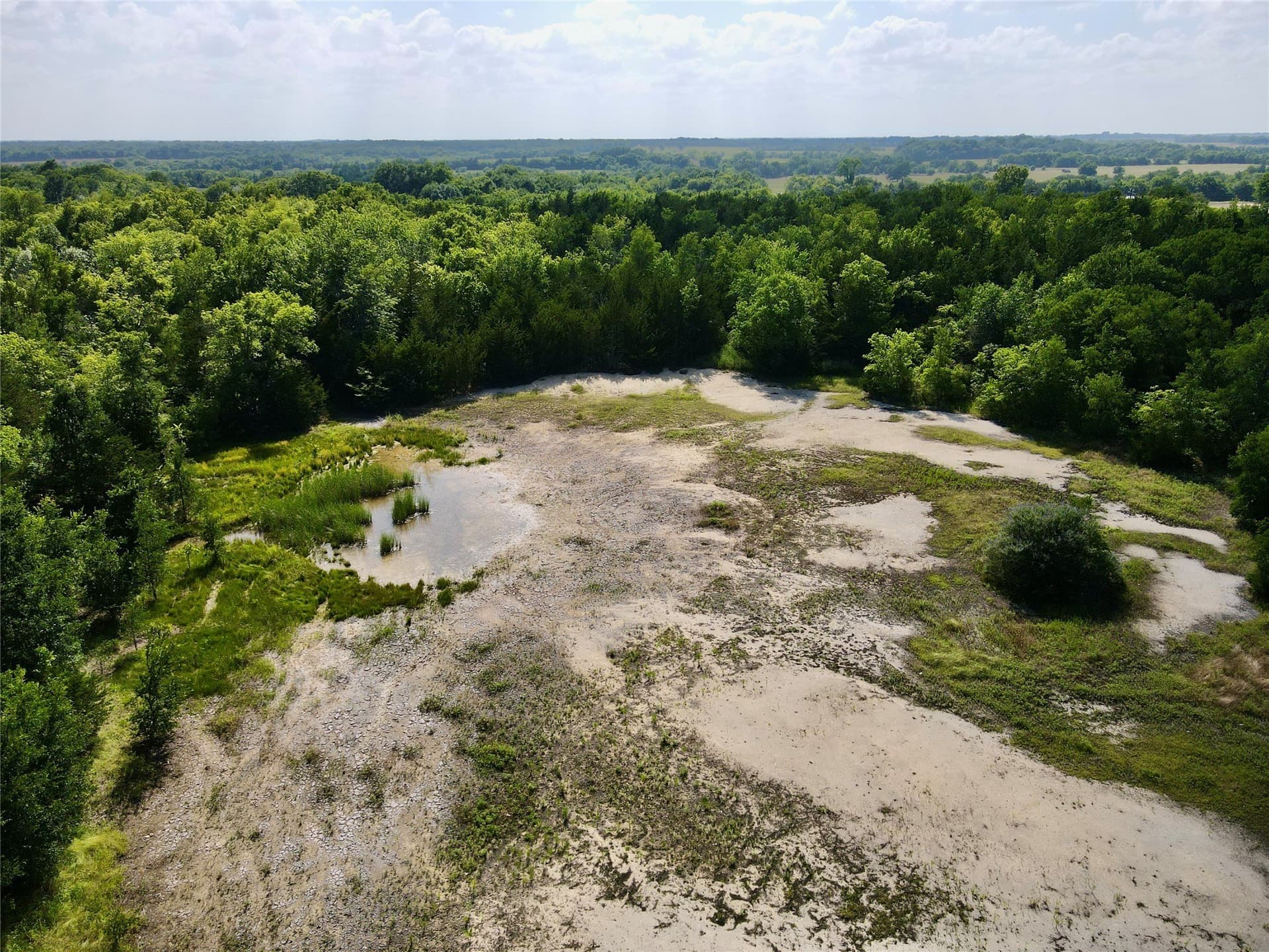 20 acres in Lamar County gallery image 3