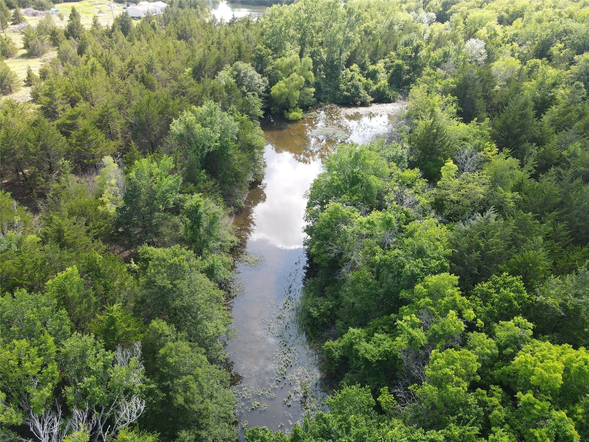 20 acres in Lamar County gallery image 4