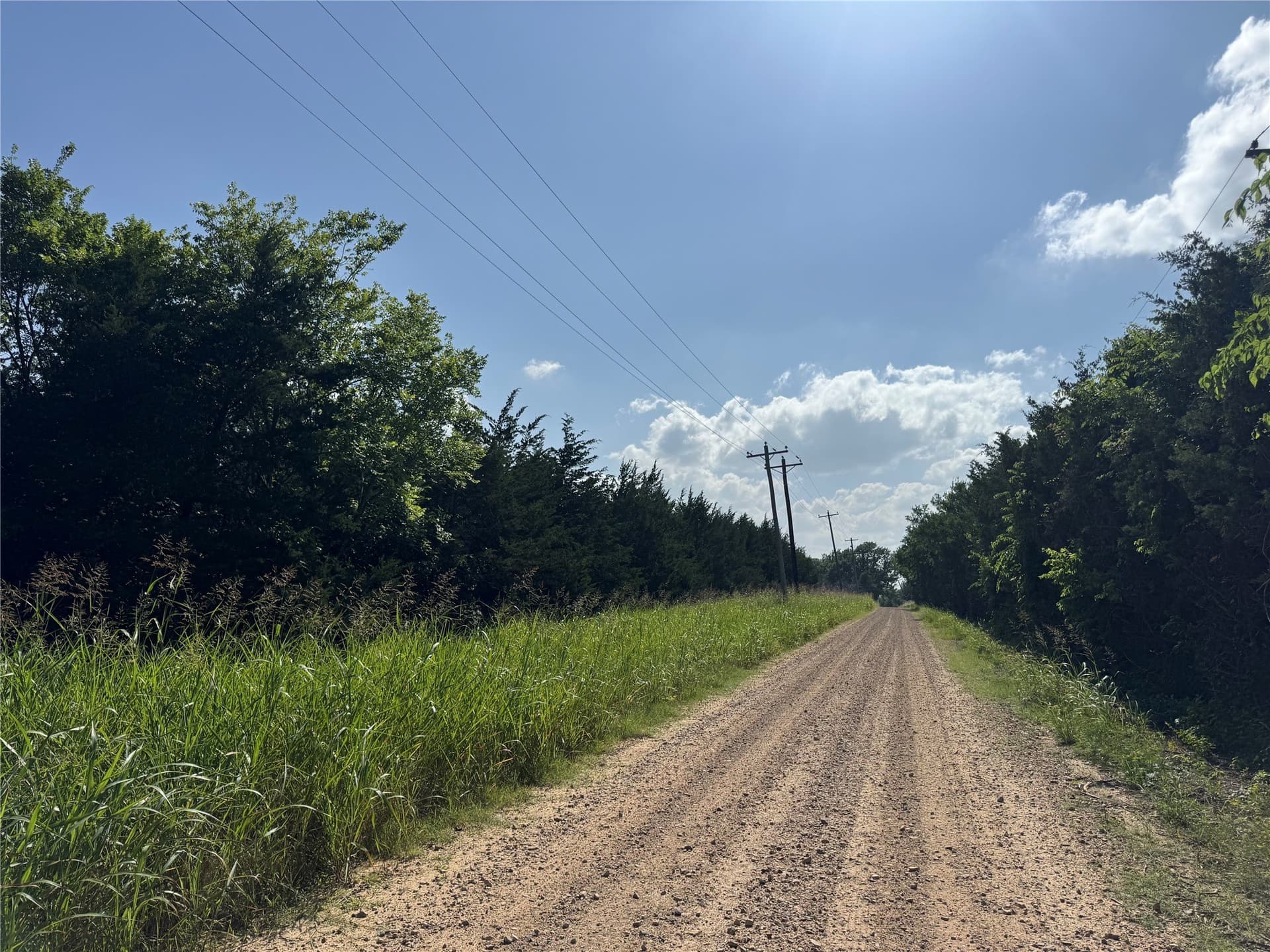 20 acres in Lamar County featured view