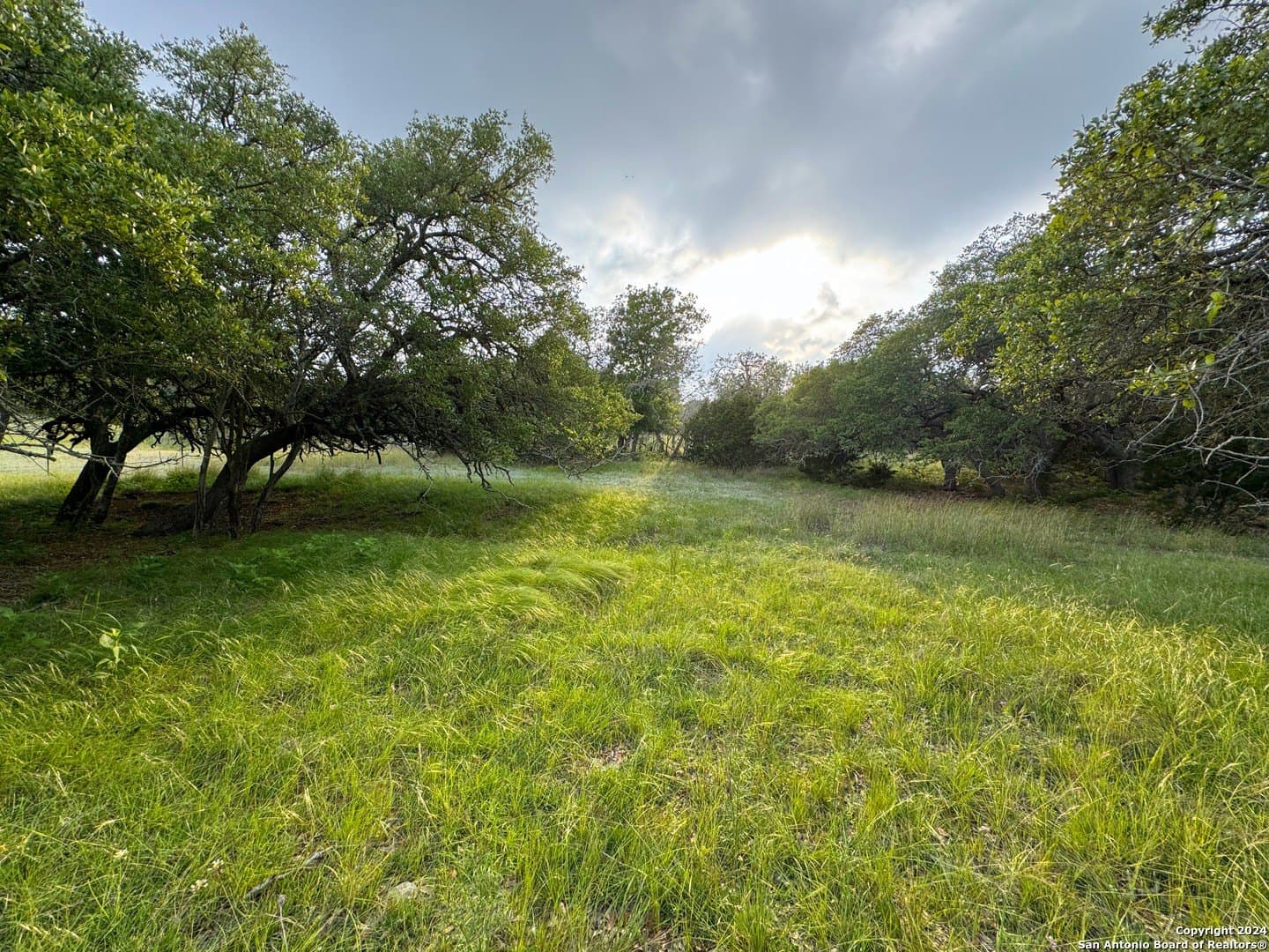 6.01 acres in Kendall County gallery image 2