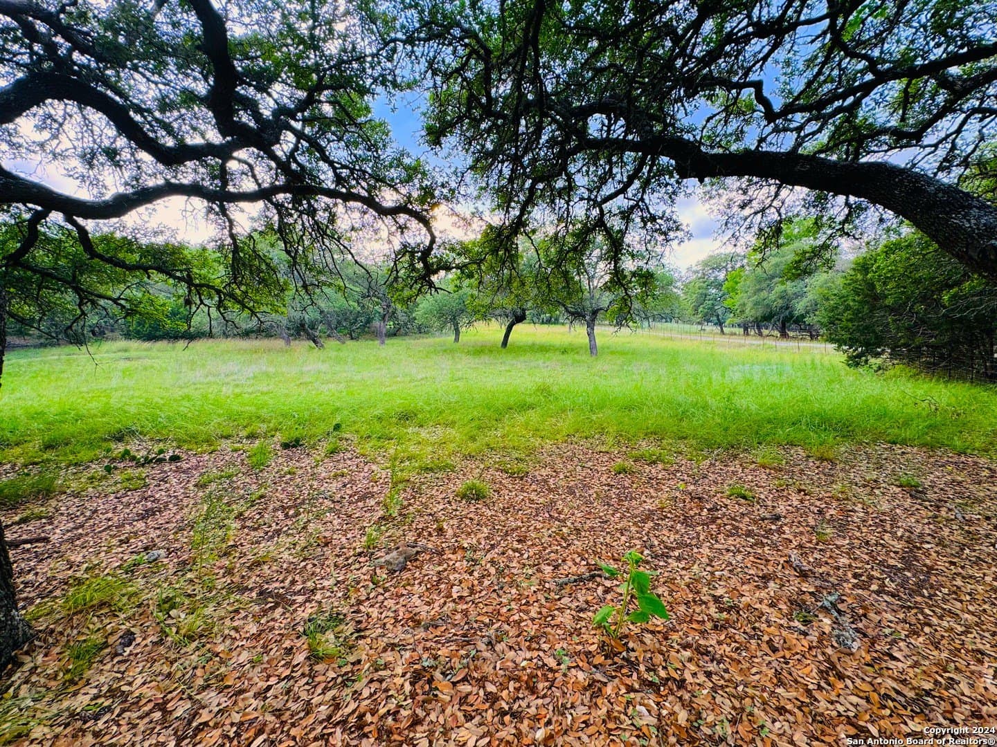 6.01 acres in Kendall County gallery image 4