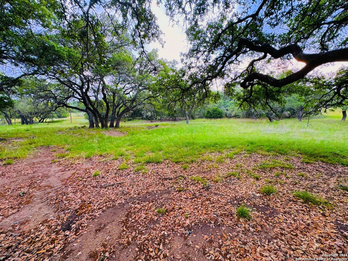 6.01 acres in Kendall County gallery image 3