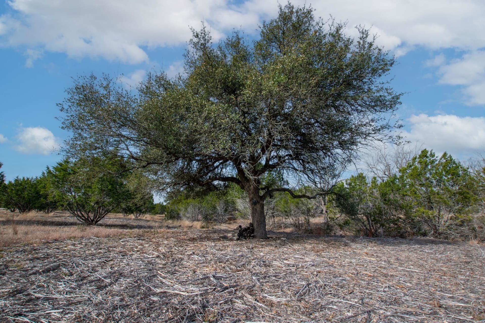 6.23 acres in Burnet County - photo 8