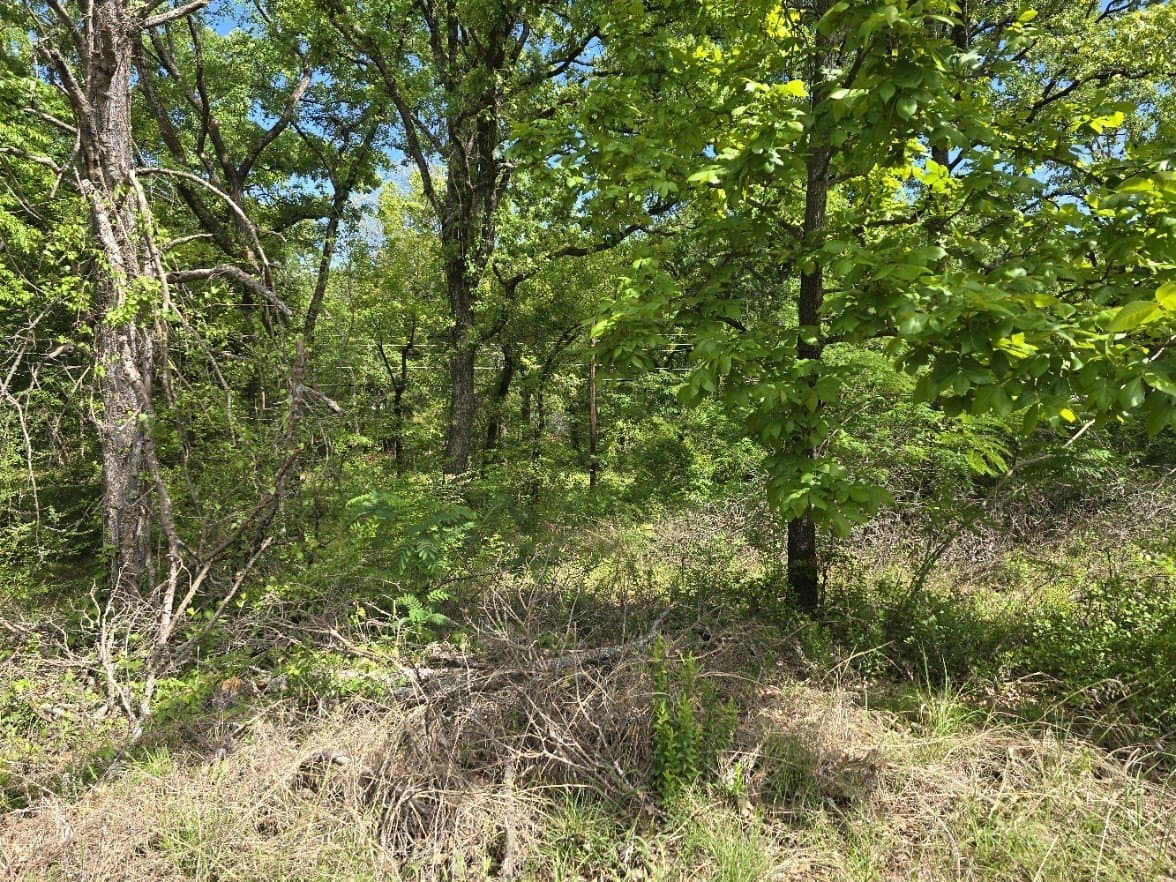 0.11 acres in Henderson County - photo 4