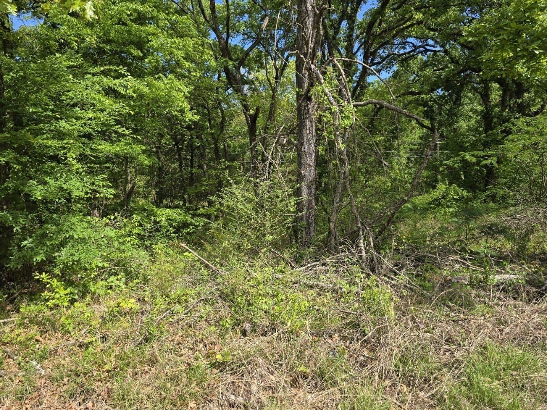 0.11 acres in Henderson County - photo 2