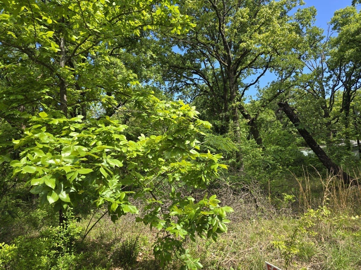 0.11 acres in Henderson County - photo 5