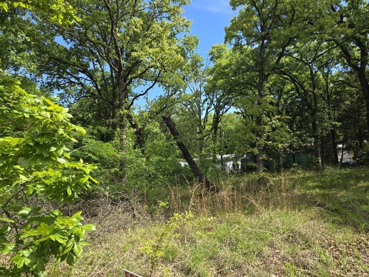 0.11 acres in Henderson County - photo 7