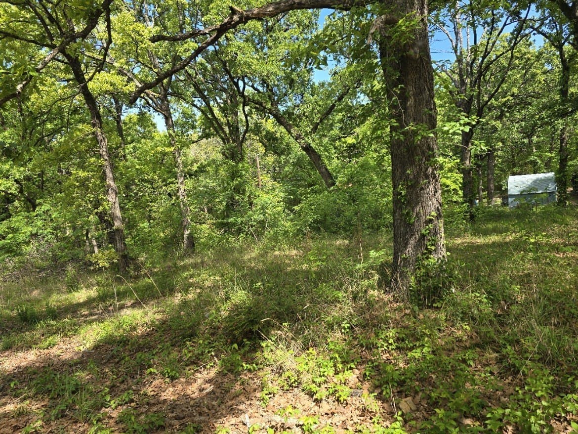 0.11 acres in Henderson County - photo 12