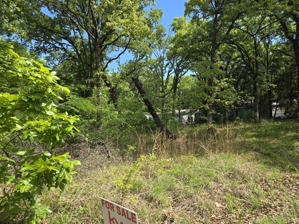 0.11 acres in Henderson County - photo 6