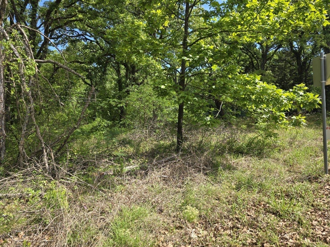 0.11 acres in Henderson County - photo 3