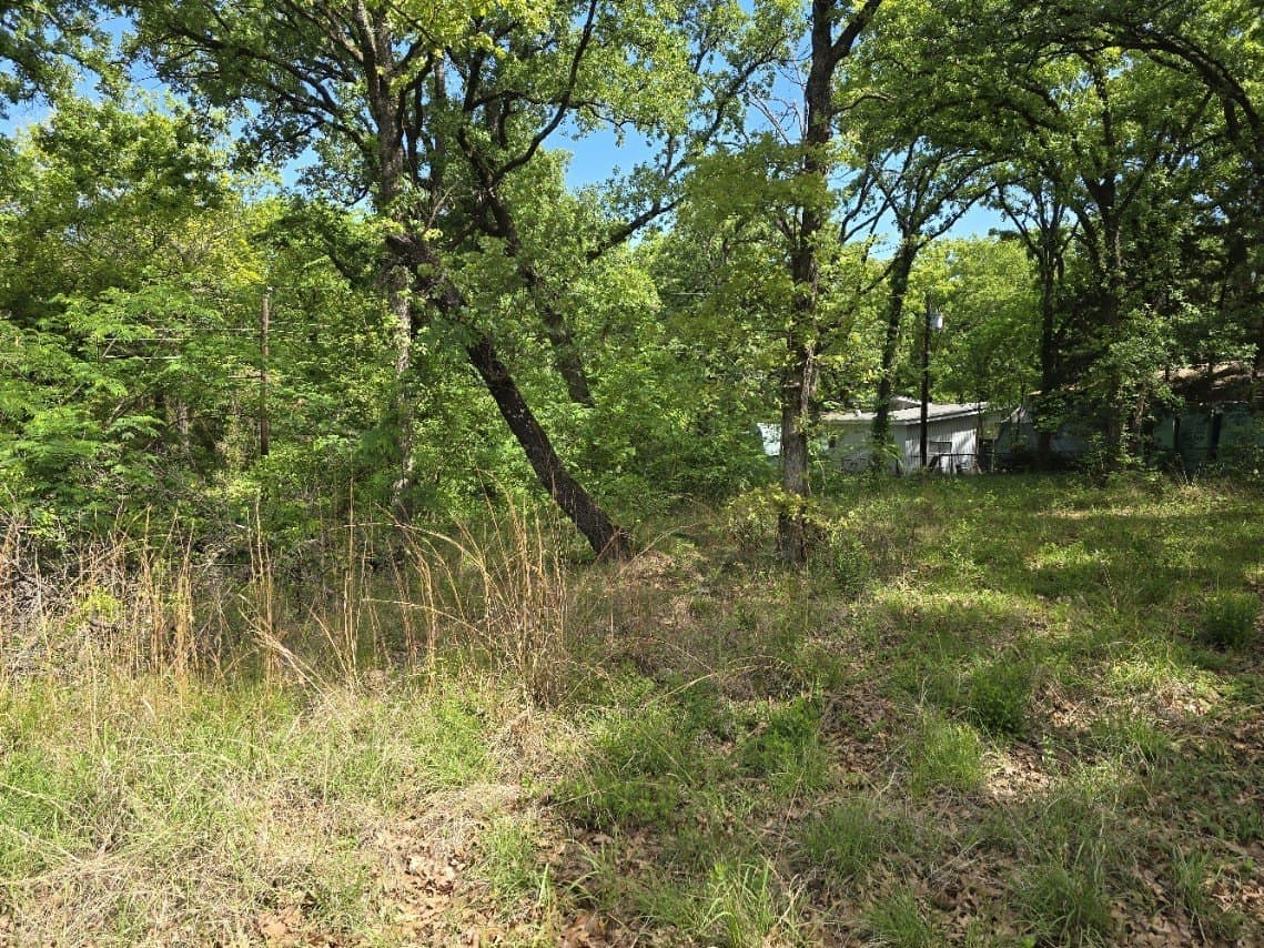 0.11 acres in Henderson County - photo 9