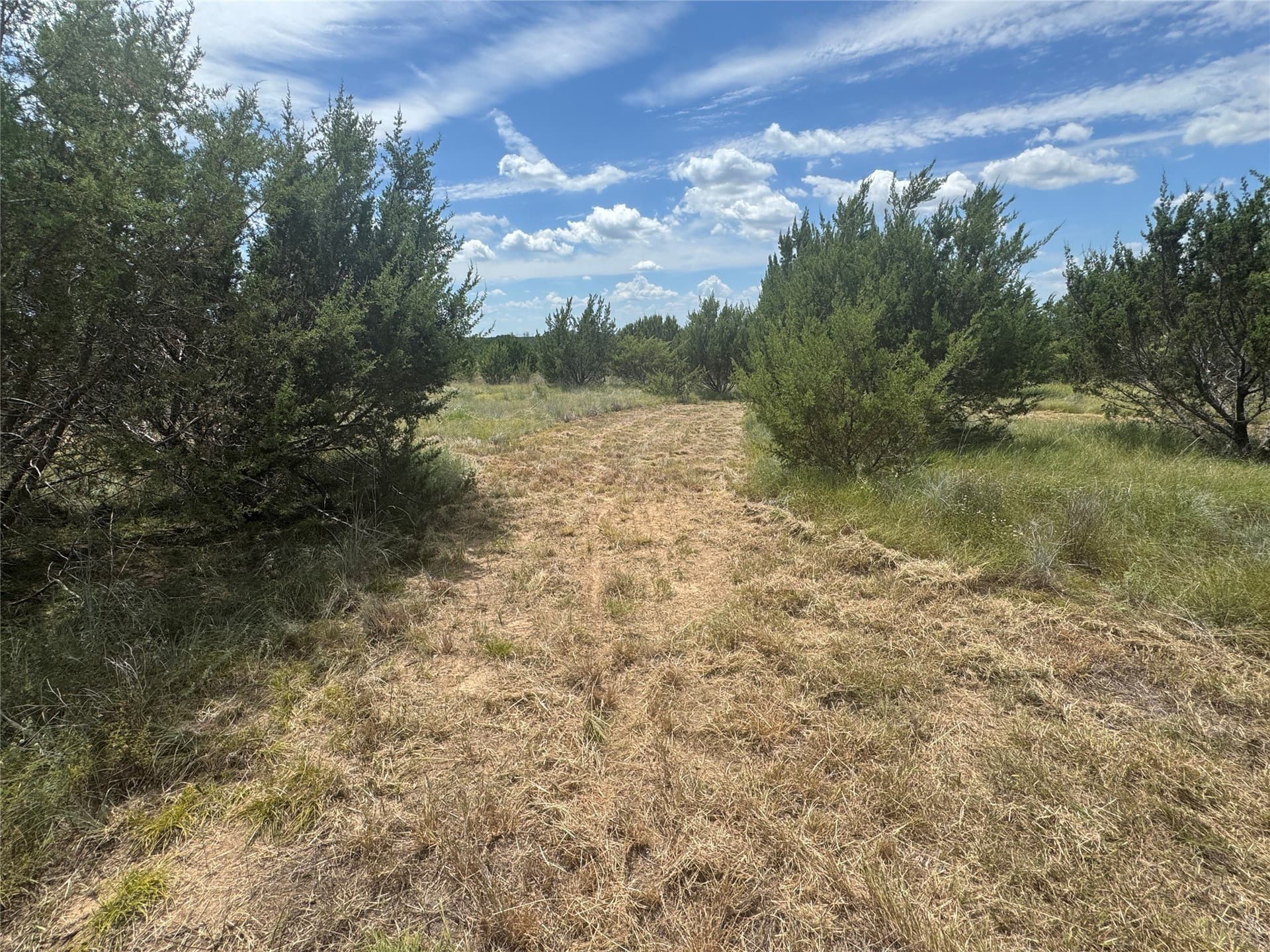 10.01 acres in Hood County - photo 16