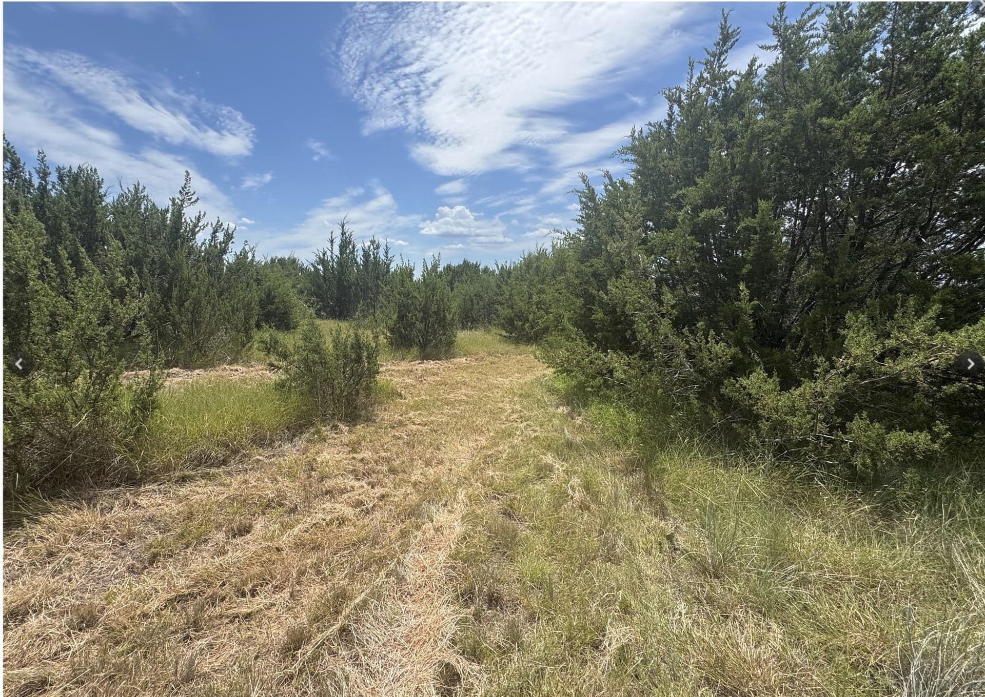10.01 acres in Hood County