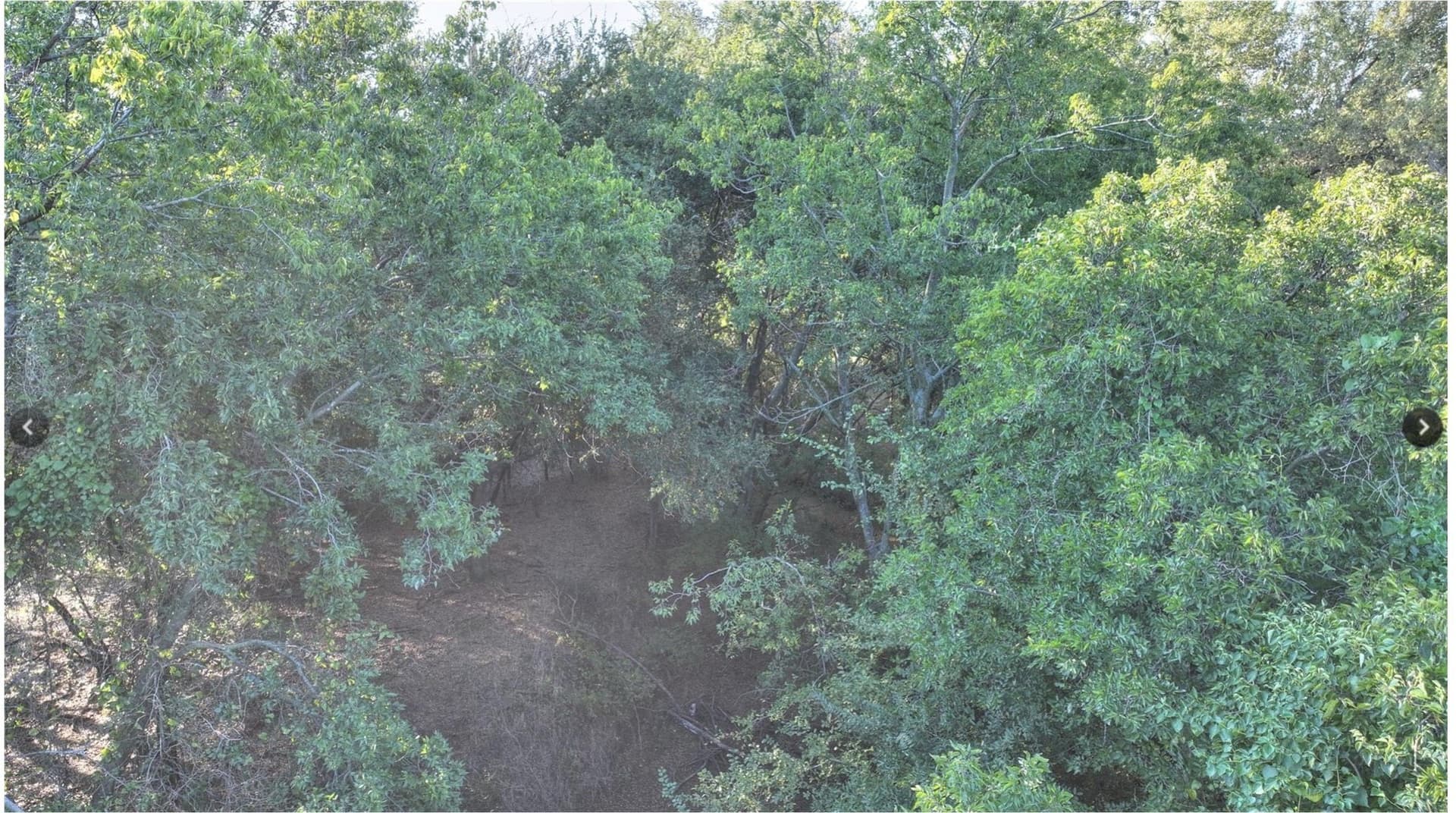 10.01 acres in Hood County - photo 12