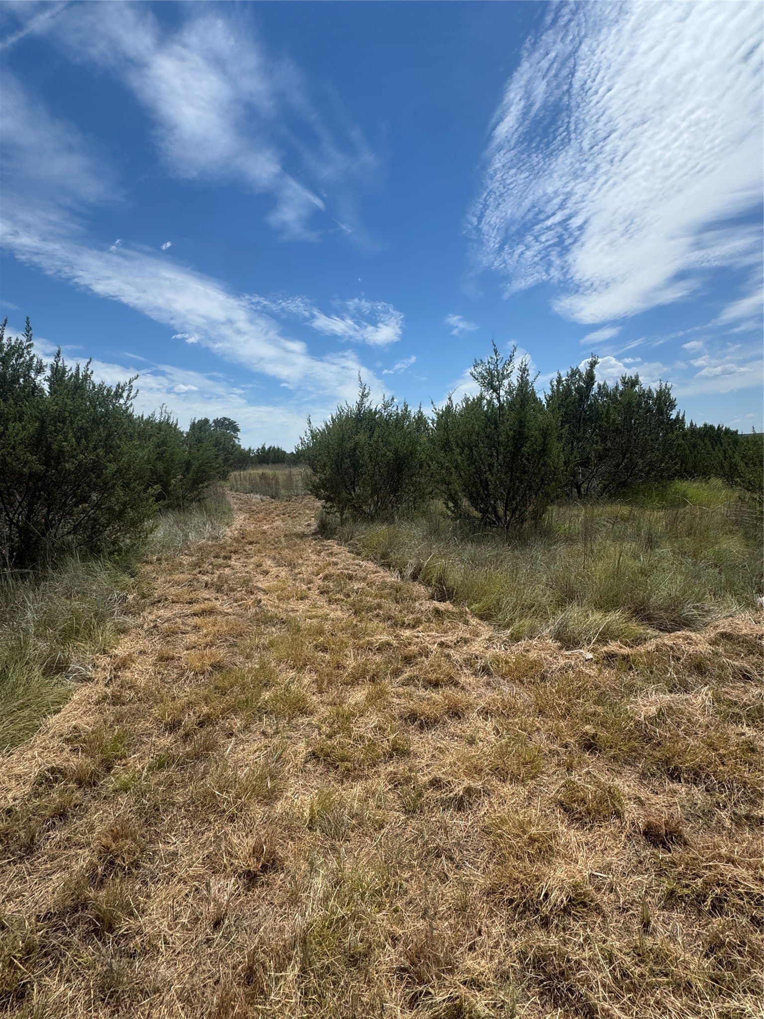 10.01 acres in Hood County - photo 14