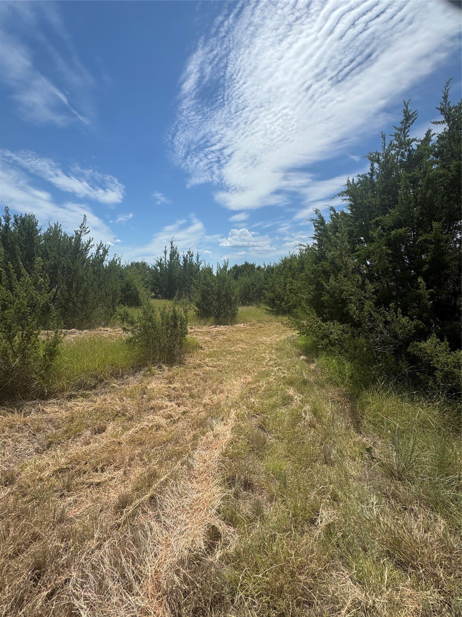 10.01 acres in Hood County - photo 15