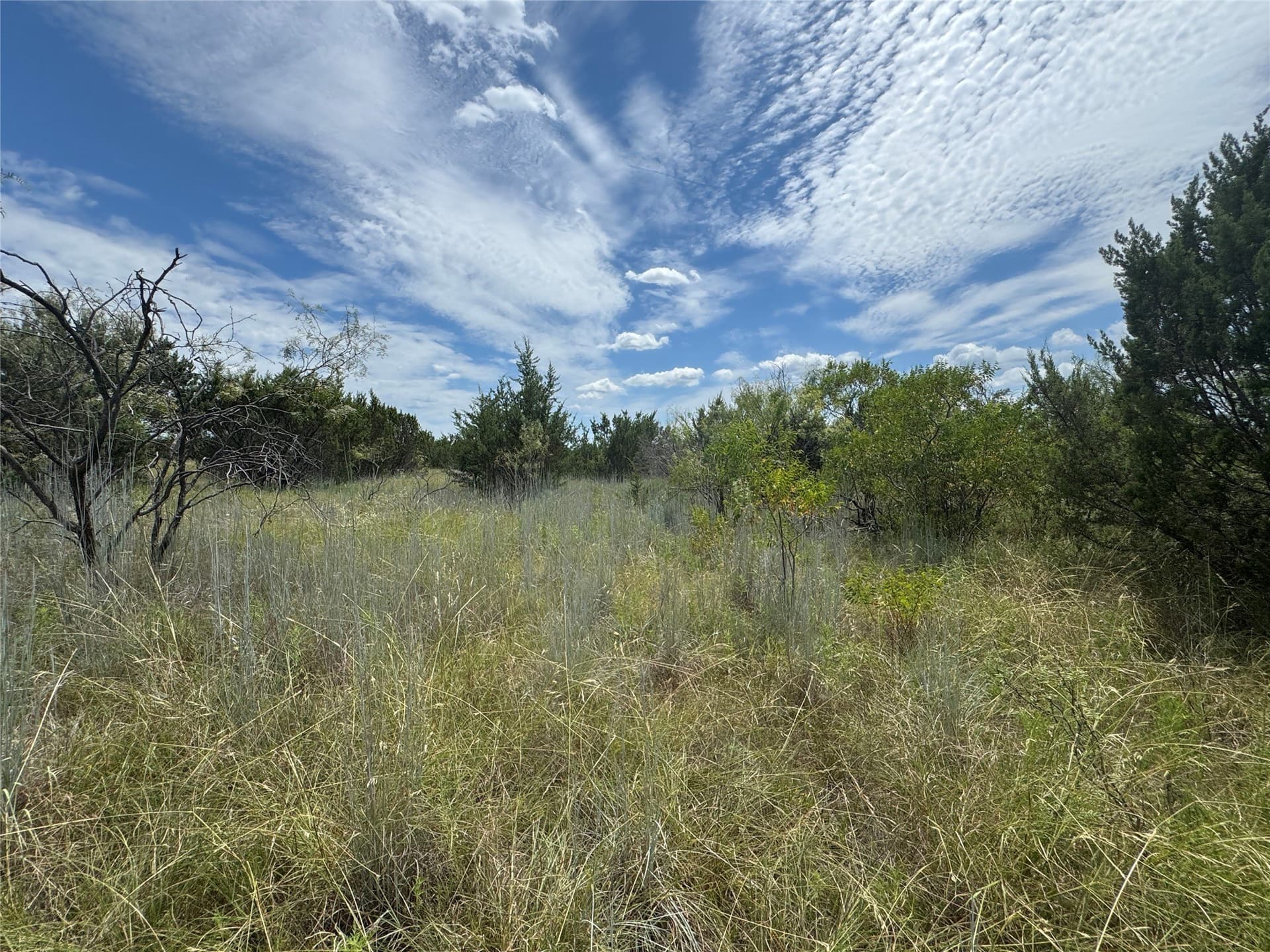 10.01 acres in Hood County - photo 17