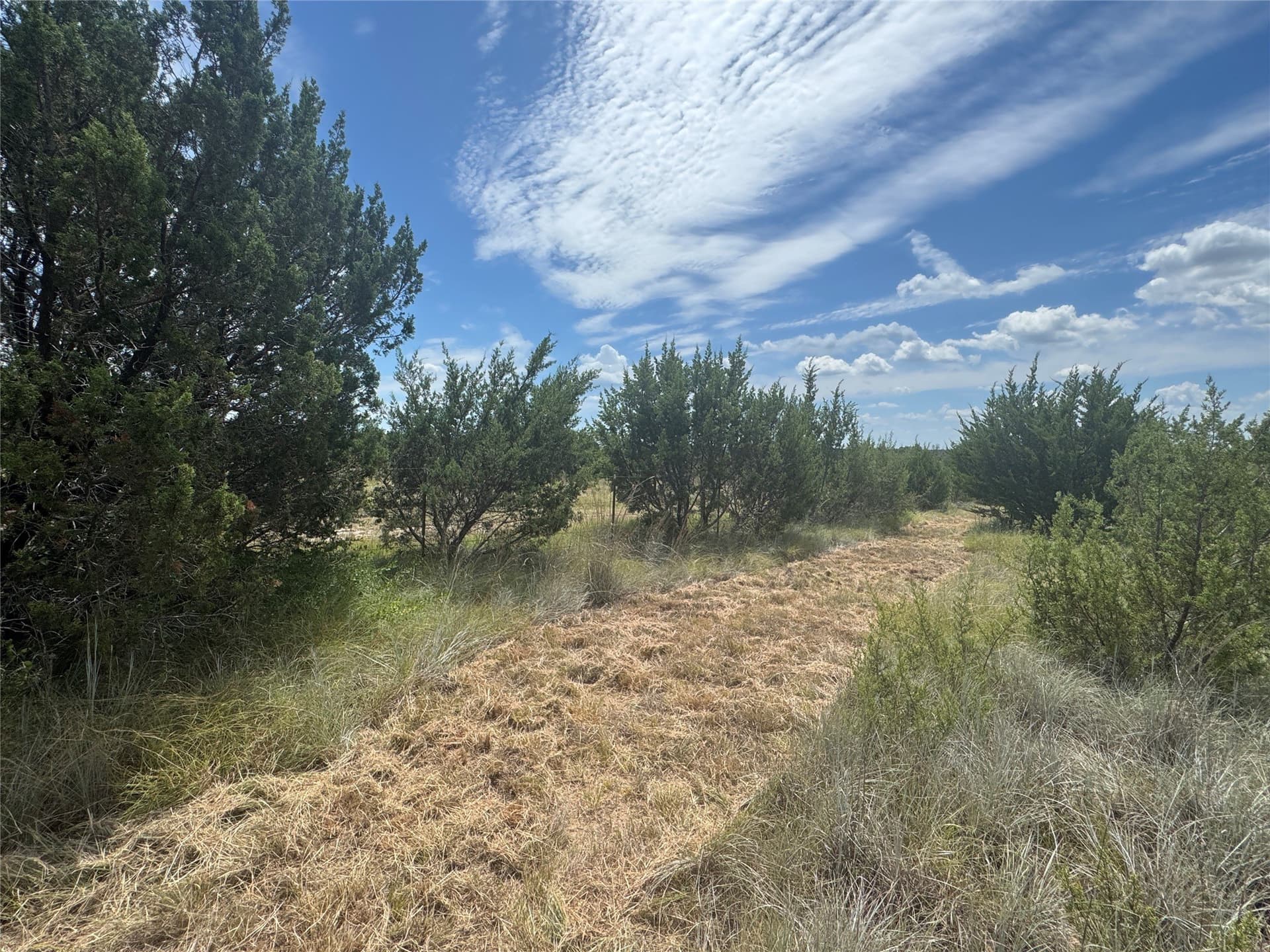 10.01 acres in Hood County - photo 2