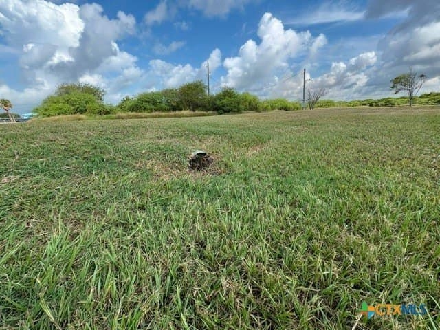 0.45 acres in Calhoun County - photo 6