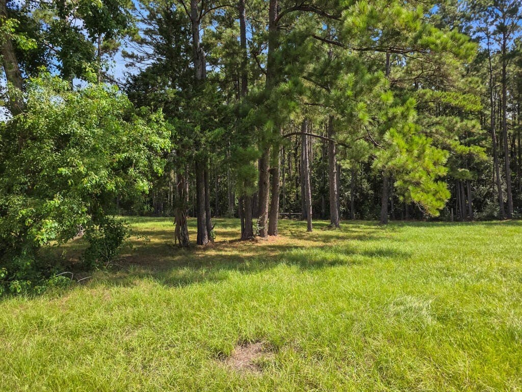 18.94 acres in Texas County - photo 120