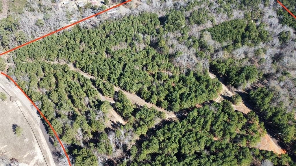 46.73 acres in Rusk County gallery image 2