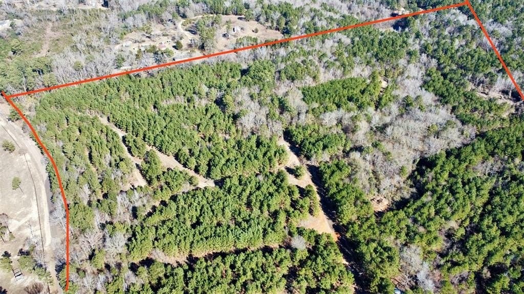 46.73 acres in Rusk County gallery image 3