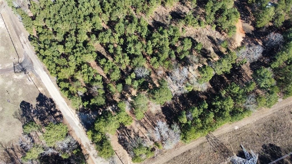 46.73 acres in Rusk County gallery image 4