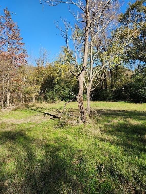 4.41 acres in Henderson County gallery image 4