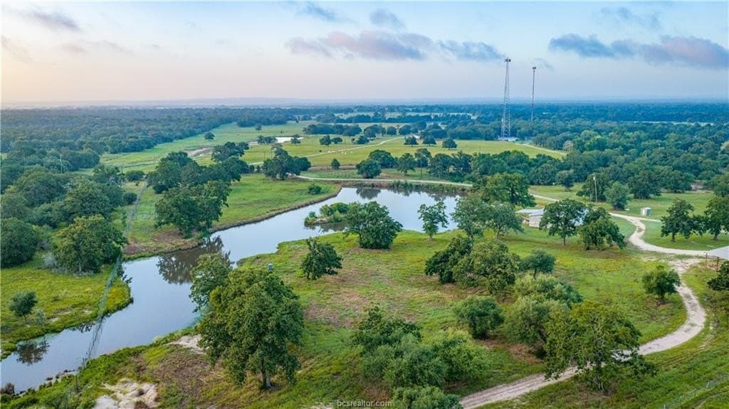 545 acres in Burleson County - photo 7