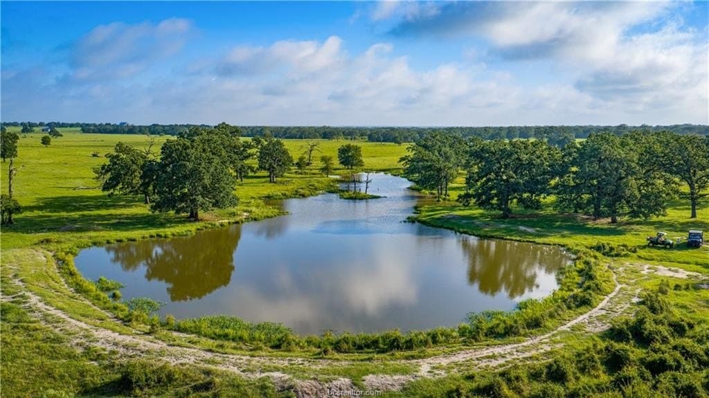 545 acres in Burleson County - photo 33