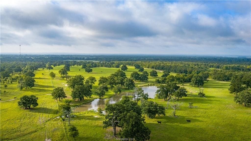 545 acres in Burleson County - photo 13