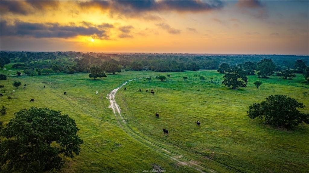 545 acres in Burleson County - photo 47