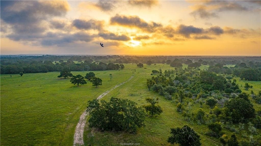 545 acres in Burleson County - photo 43